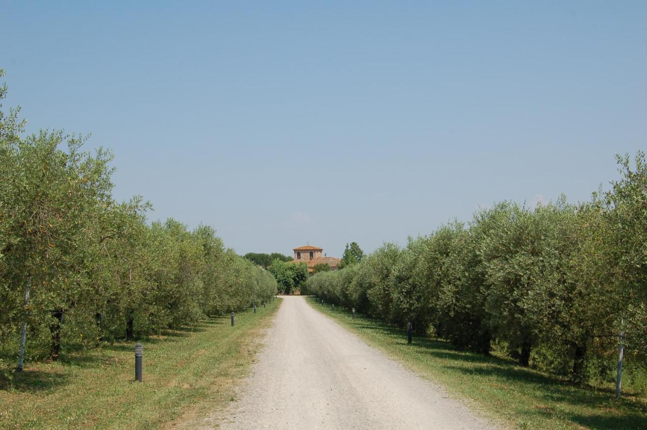 Agriturismo Il Selvino Terricciola ภายนอก รูปภาพ