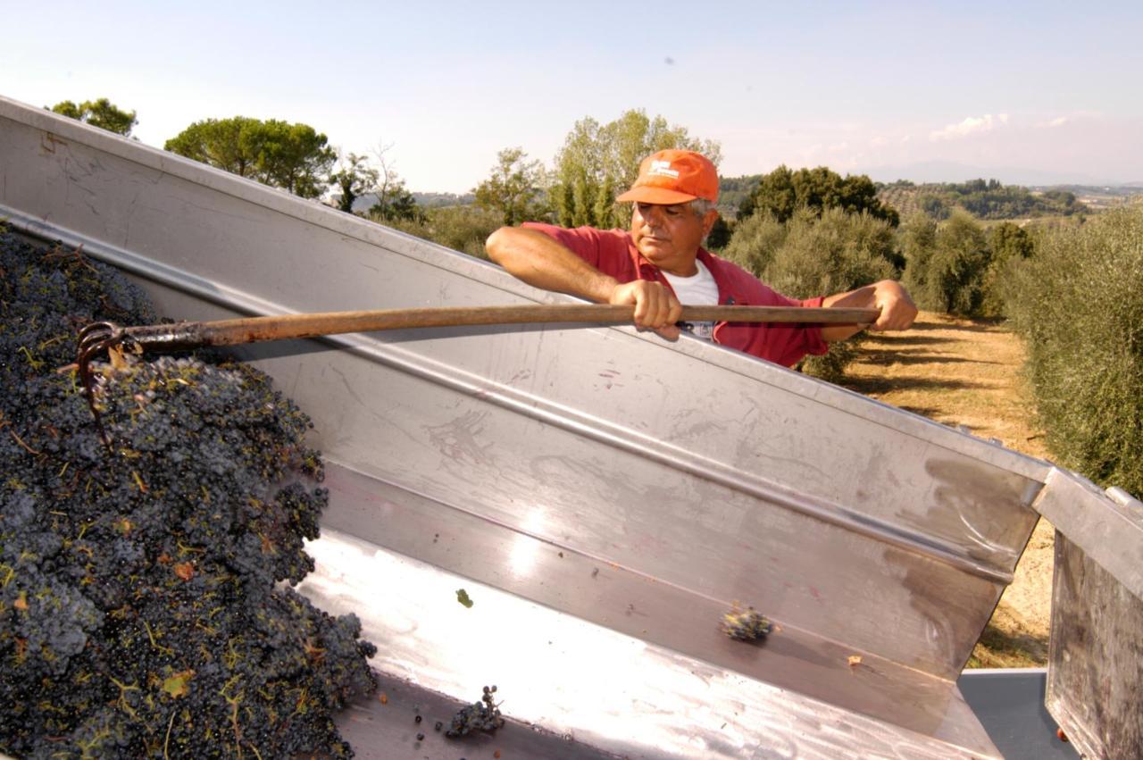 Agriturismo Il Selvino Terricciola ภายนอก รูปภาพ