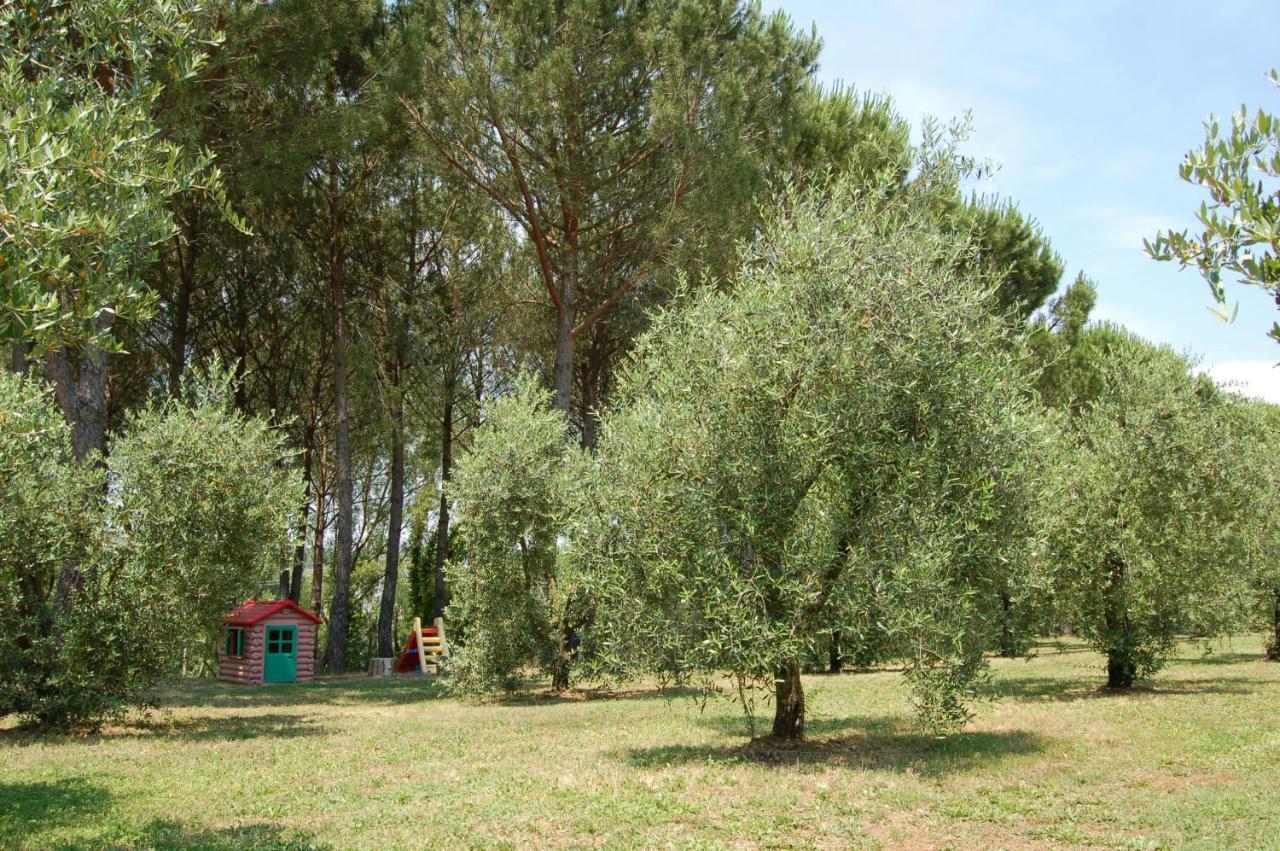Agriturismo Il Selvino Terricciola ภายนอก รูปภาพ