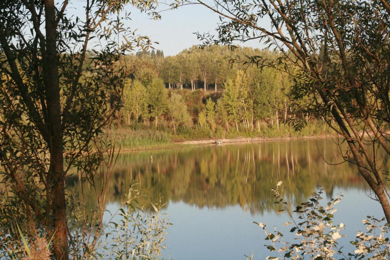 Agriturismo Il Selvino Terricciola ภายนอก รูปภาพ
